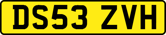 DS53ZVH