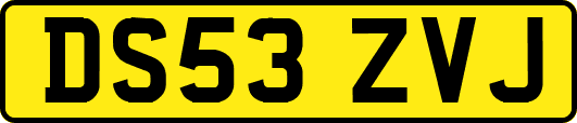 DS53ZVJ