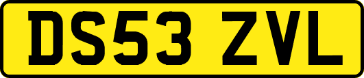 DS53ZVL