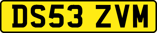 DS53ZVM