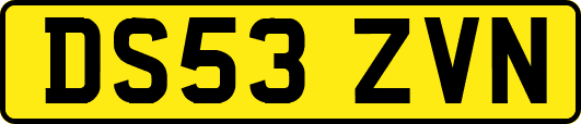DS53ZVN