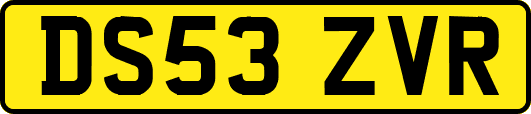 DS53ZVR