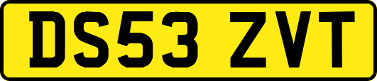 DS53ZVT