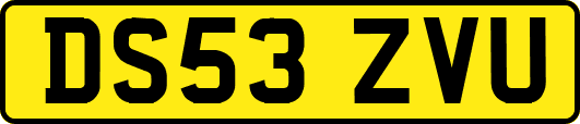 DS53ZVU