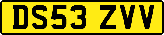 DS53ZVV