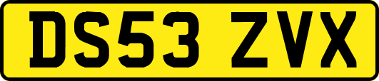 DS53ZVX