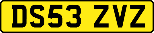 DS53ZVZ