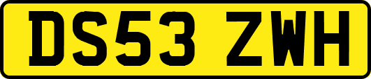 DS53ZWH