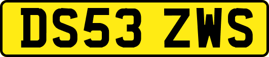 DS53ZWS