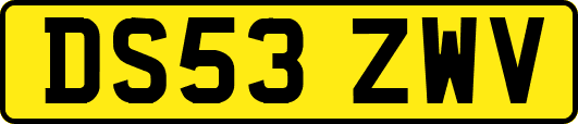 DS53ZWV