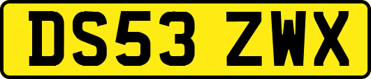 DS53ZWX
