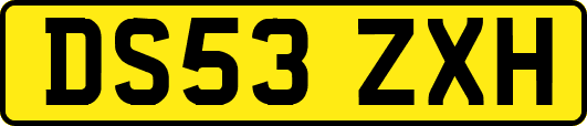 DS53ZXH
