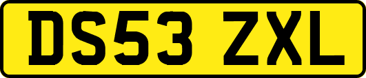 DS53ZXL