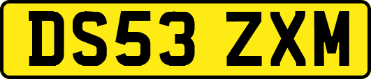 DS53ZXM