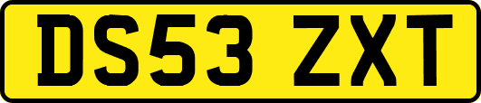DS53ZXT