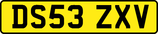 DS53ZXV