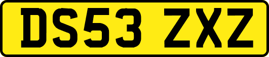 DS53ZXZ