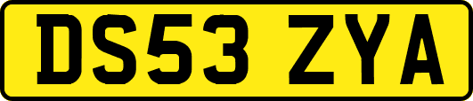 DS53ZYA