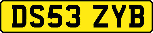 DS53ZYB