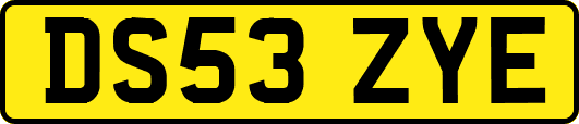 DS53ZYE