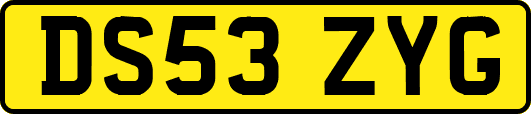 DS53ZYG