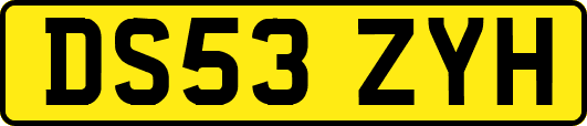 DS53ZYH