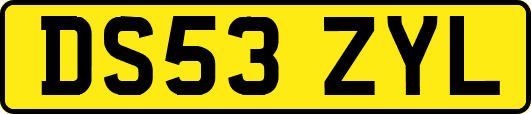 DS53ZYL