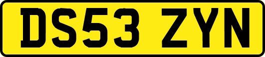 DS53ZYN