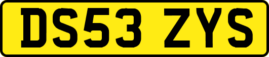 DS53ZYS