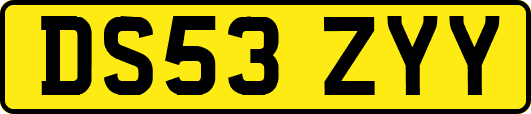 DS53ZYY