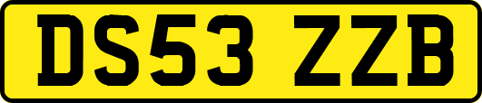 DS53ZZB