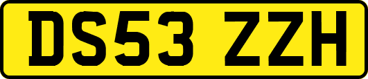 DS53ZZH