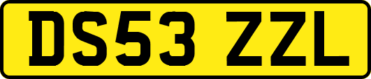 DS53ZZL