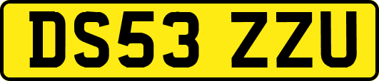 DS53ZZU