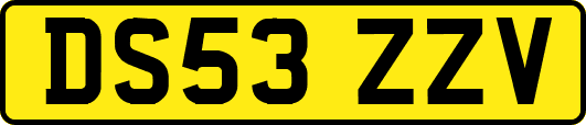 DS53ZZV