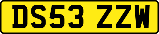 DS53ZZW