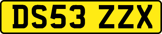 DS53ZZX