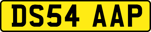 DS54AAP