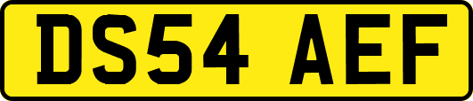 DS54AEF
