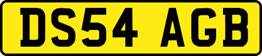 DS54AGB