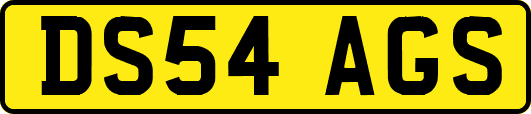 DS54AGS