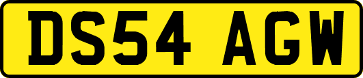 DS54AGW