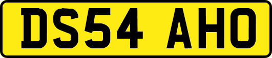 DS54AHO