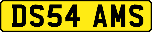 DS54AMS