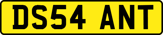 DS54ANT
