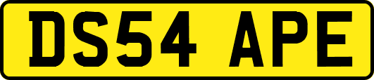 DS54APE