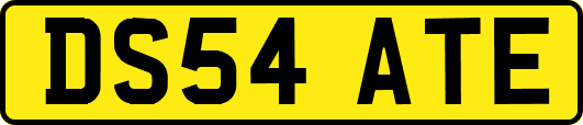 DS54ATE
