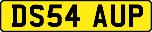 DS54AUP