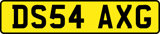 DS54AXG
