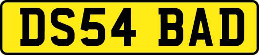 DS54BAD